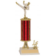 MA15 Martial Arts Trophy